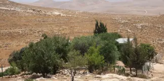 I leader di Italia, Francia, Germania e Regno Unito a Israele: “Inaccettabili i bandi per il progetto di insediamento E1 in Cisgiordania”
