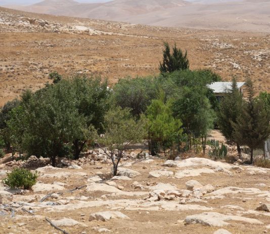 I leader di Italia, Francia, Germania e Regno Unito a Israele: “Inaccettabili i bandi per il progetto di insediamento E1 in Cisgiordania”