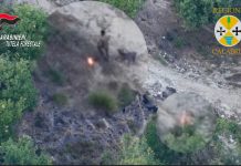 Appicca il fuoco al bosco, arrestato un allevatore incastrato dal drone