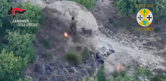 Appicca il fuoco al bosco, arrestato un allevatore incastrato dal drone / Video