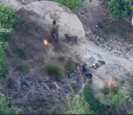 Appicca il fuoco al bosco, arrestato un allevatore incastrato dal drone / Video