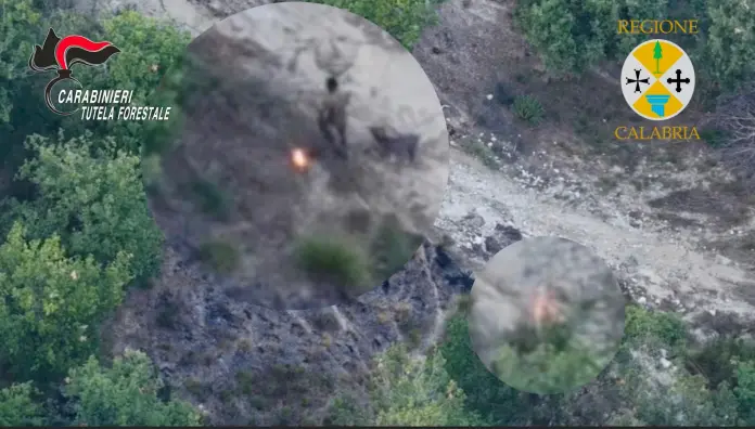 Drone allevatore