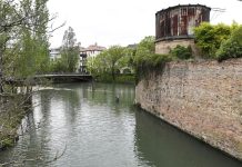 Controlli Arpav sul fiume Sile, Venturini: “Nessuna anomalia”