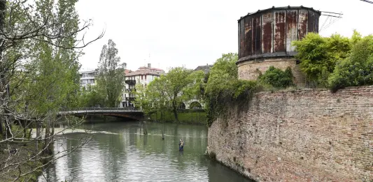 Controlli Arpav sul fiume Sile, Venturini: “Nessuna anomalia”