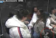 Centinaia di furti ai danni dei passeggeri in transito all’aeroporto di Malpensa, arrestate dieci donne