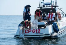 Lotta al granchio blu, al via la liberazione dei polpi al largo di Cesenatico