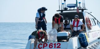 Lotta al granchio blu, al via la liberazione dei polpi al largo di Cesenatico