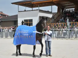 Addio a Varenne, il cavallo più forte di tutti i tempi