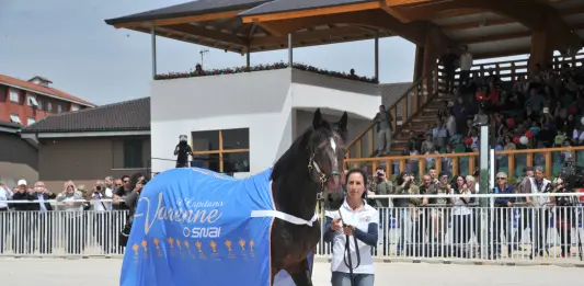Ippica, è morto Varenne: il cavallo più forte di tutti i tempi