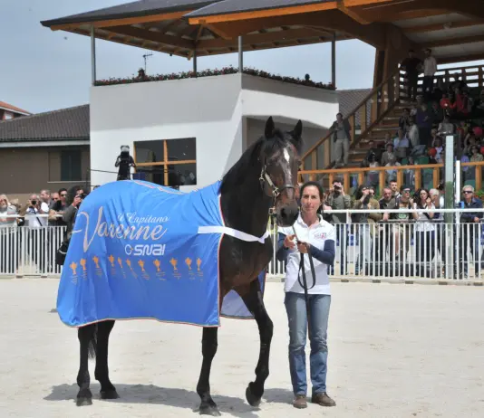 Ippica, è morto Varenne: il cavallo più forte di tutti i tempi
