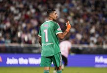 Palermo, adesso è ufficiale: Mattia Perin è un nuovo giocatore rosanero
