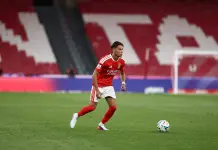 Newcastle acquires Amar Dedic from Benfica