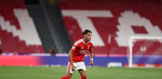 Newcastle acquires Amar Dedic from Benfica