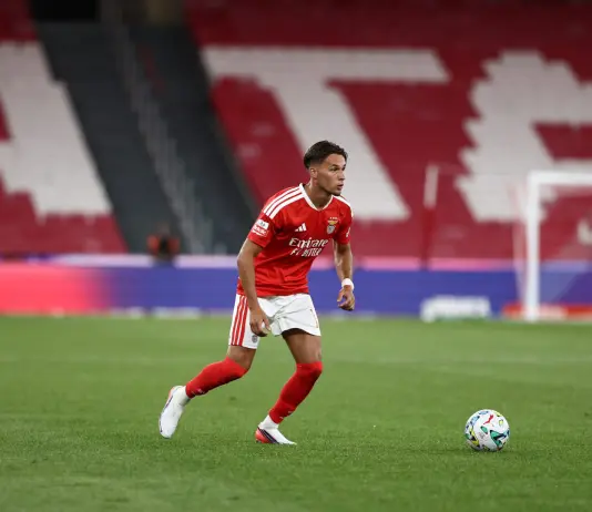 Newcastle acquires Amar Dedic from Benfica