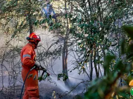 Incendi nel Fiorentino e in Versilia, fiamme sotto controllo ma l’allerta resta alta