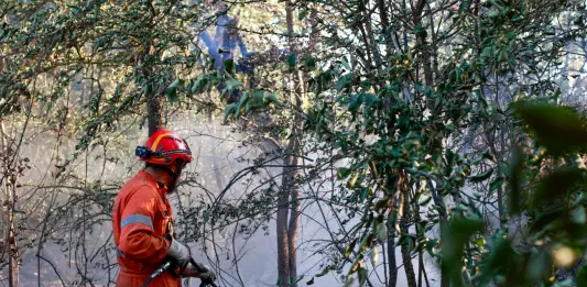 Incendi nel Fiorentino e in Versilia, fiamme sotto controllo ma l’allerta resta alta