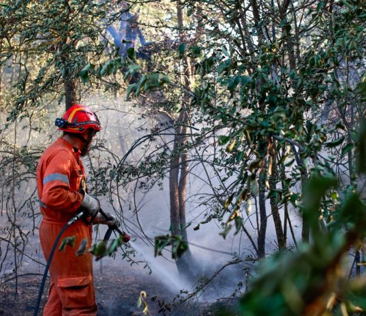 Incendi nel Fiorentino e in Versilia, fiamme sotto controllo ma l’allerta resta alta