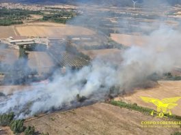 La Sardegna nella morsa degli incendi, riprende vigore il rogo di Bortigiadas in Gallura
