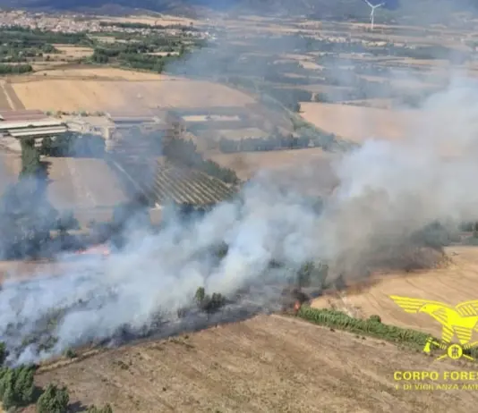 La Sardegna nella morsa degli incendi, riprende vigore il rogo di Bortigiadas in Gallura