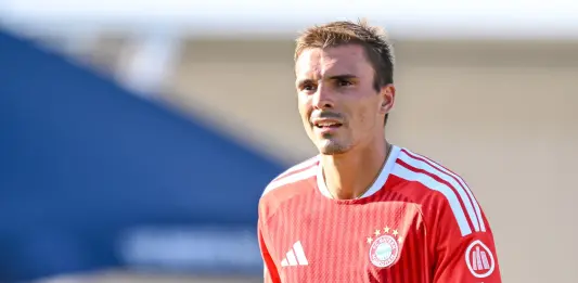 Joao Palhinha joins Benfica from Bayern Munich