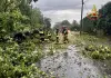 Maltempo, a Cremona si contano feriti e danni dopo il violento nubifragio / Video