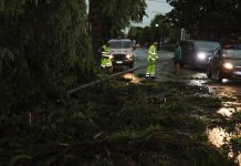 Pioggia e vento in Emilia-Romagna, oltre 300 interventi dei Vigili del fuoco per far fronte ai danni