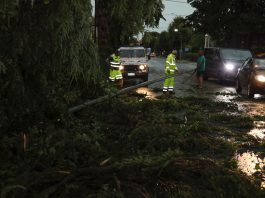 Pioggia e vento in Emilia-Romagna, oltre 300 interventi dei Vigili del fuoco per far fronte ai danni