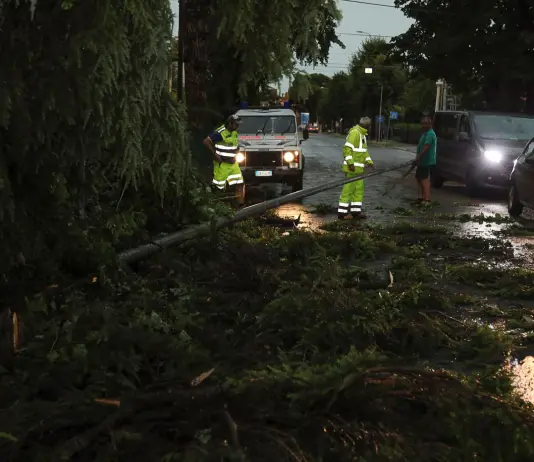 Pioggia e vento in Emilia-Romagna, oltre 300 interventi dei Vigili del fuoco per far fronte ai danni