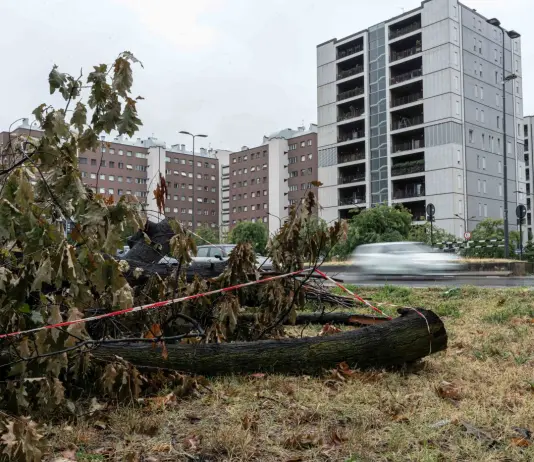 Maltempo, Fontana “Ho chiesto a Musumeci lo stato di emergenza per la Lombardia”