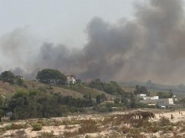 Fiamme nell’Agrigentino, evacuate trenta persone a Menfi