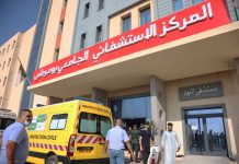 Algeria, autobus precipita in un dirupo nella provincia di Costantina: almeno 4 morti e 17 feriti