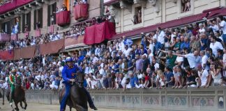 Palio di Siena, dopo 28 anni torna al successo la contrada del Nicchio. 13° trionfo di Tittia