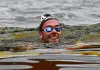 Paltrinieri di bronzo nella 5 km di fondo agli Europei di Parigi, oro a Wellbrock