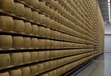 Dop, Igp, Doc e produzioni certificate: dalla Regione Emilia-Romagna 6 milioni di euro per promuovere le eccellenze agroalimentari