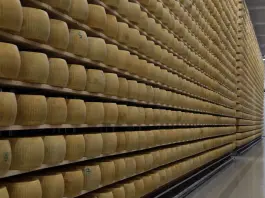 Dop, Igp, Doc e produzioni certificate: dalla Regione Emilia-Romagna 6 milioni di euro per promuovere le eccellenze agroalimentari