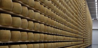 Dop, Igp, Doc e produzioni certificate: dalla Regione Emilia-Romagna 6 milioni di euro per promuovere le eccellenze agroalimentari
