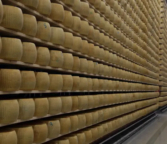 Dop, Igp, Doc e produzioni certificate: dalla Regione Emilia-Romagna 6 milioni di euro per promuovere le eccellenze agroalimentari
