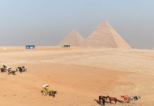 Egitto, alle Piramidi di Giza la sesta edizione della mostra di arte contemporanea “Forever Is Now” dal 4 al 28 novembre