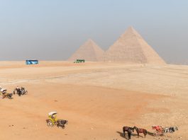 Egitto, alle Piramidi di Giza la sesta edizione della mostra di arte contemporanea “Forever Is Now” dal 4 al 28 novembre