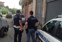Cani uccisi e torturati nel Catanese, denunciato un 47enne