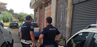 Cani uccisi e torturati nel Catanese, denunciato un 47enne