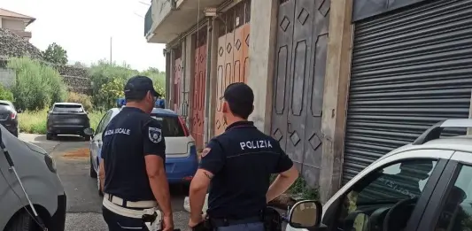Cani uccisi e torturati nel Catanese, denunciato un 47enne