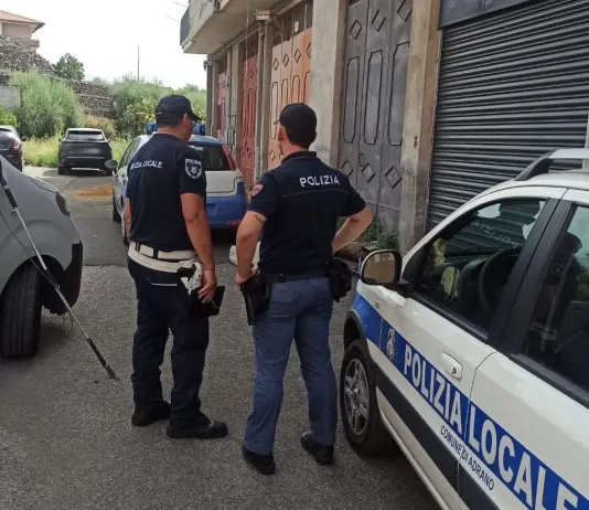 Cani uccisi e torturati nel Catanese, denunciato un 47enne