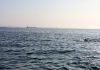 Droni ucraini colpiscono una raffineria in Russia, Mosca attacca due navi mercantili vicino Odessa / Video