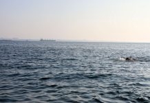 Droni ucraini colpiscono una raffineria in Russia, Mosca attacca due navi mercantili vicino Odessa