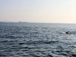 Droni ucraini colpiscono una raffineria in Russia, Mosca attacca due navi mercantili vicino Odessa