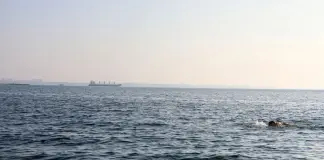 Droni ucraini colpiscono una raffineria in Russia, Mosca attacca due navi mercantili vicino Odessa / Video