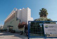 Palermo, Rap chiude il 2025 con un utile di 4,85 milioni di euro