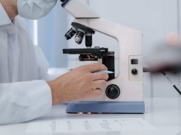 Ricerca Enea-Cnr sui materiali smart più efficienti per uso industriale