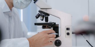 Ricerca Enea-Cnr sui materiali smart più efficienti per uso industriale